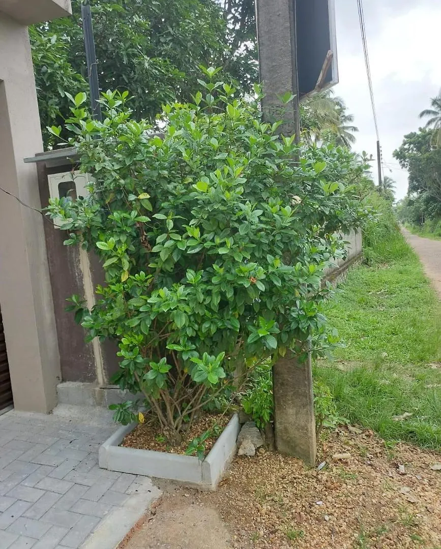 Free Home Νεγκόμπο